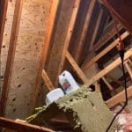 mold removal (5)