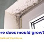 Where does mould grow?