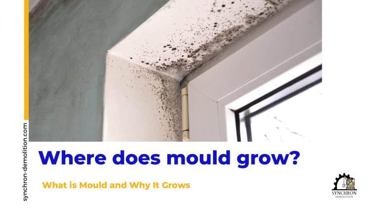 Where does mould grow?