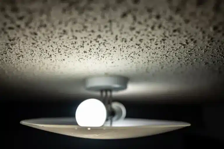 asbestos in Popcorn Ceiling