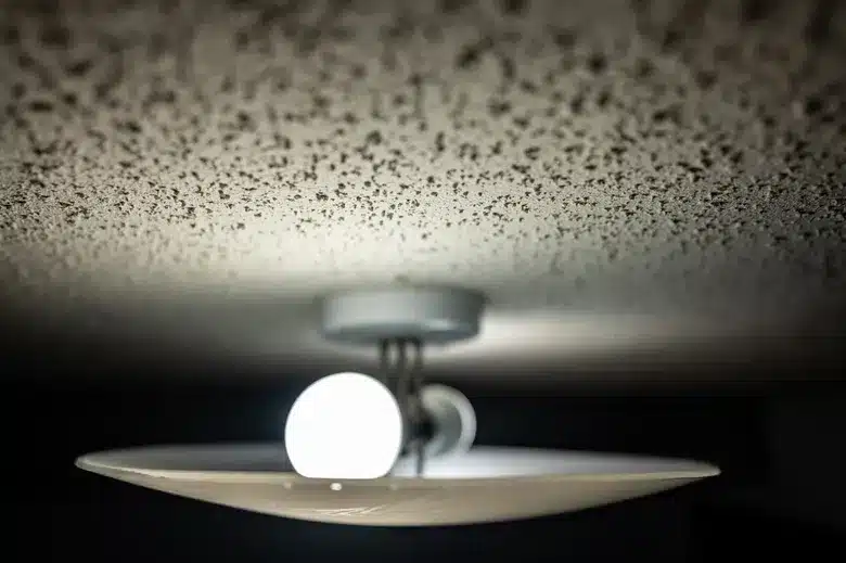 asbestos in Popcorn Ceiling