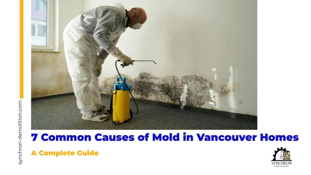 7 Common Causes of Mold in Vancouver Homes