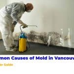 7 Common Causes of Mold in Vancouver Homes