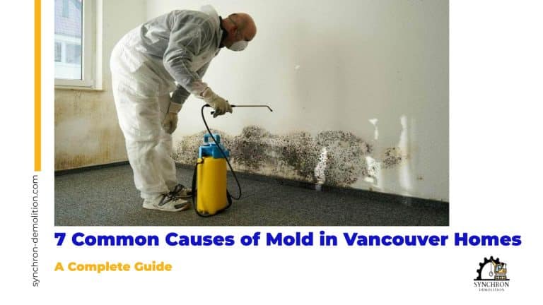7 Common Causes of Mold in Vancouver Homes