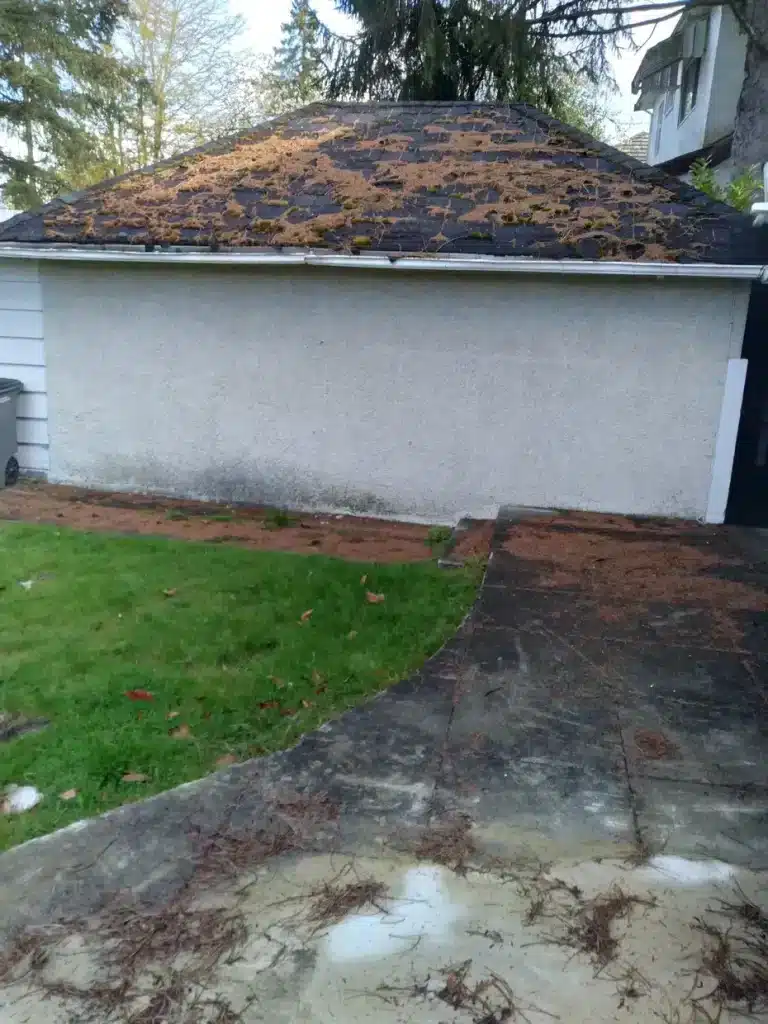 Stucco Removal (6)