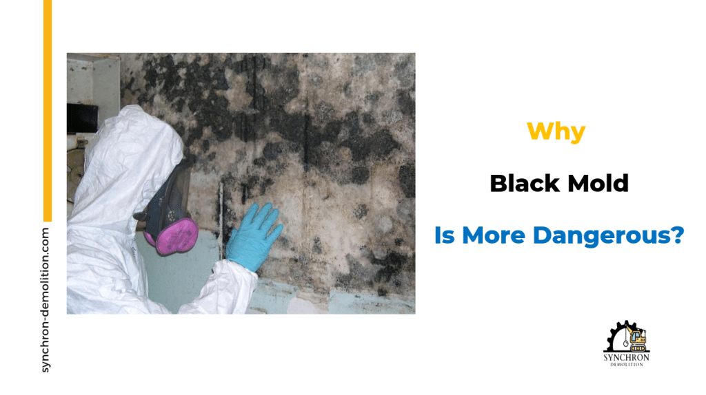 Why Black Mold Is More Dangerous